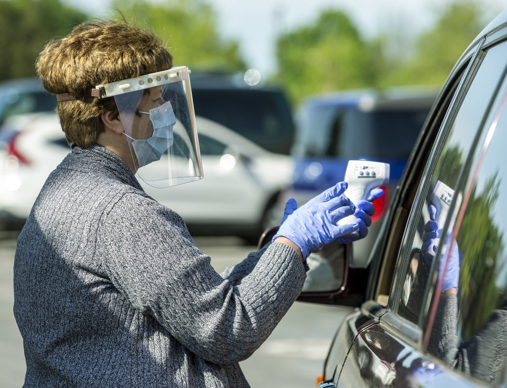 Volvo Face Shields